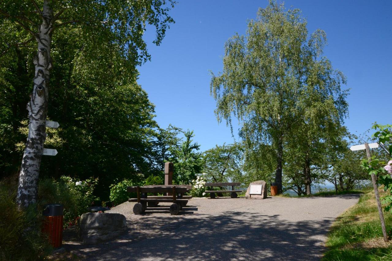 Residence Am Weinberg / Travellers Hotelbetriebs Gmbh Sasbachwalden Buitenkant foto