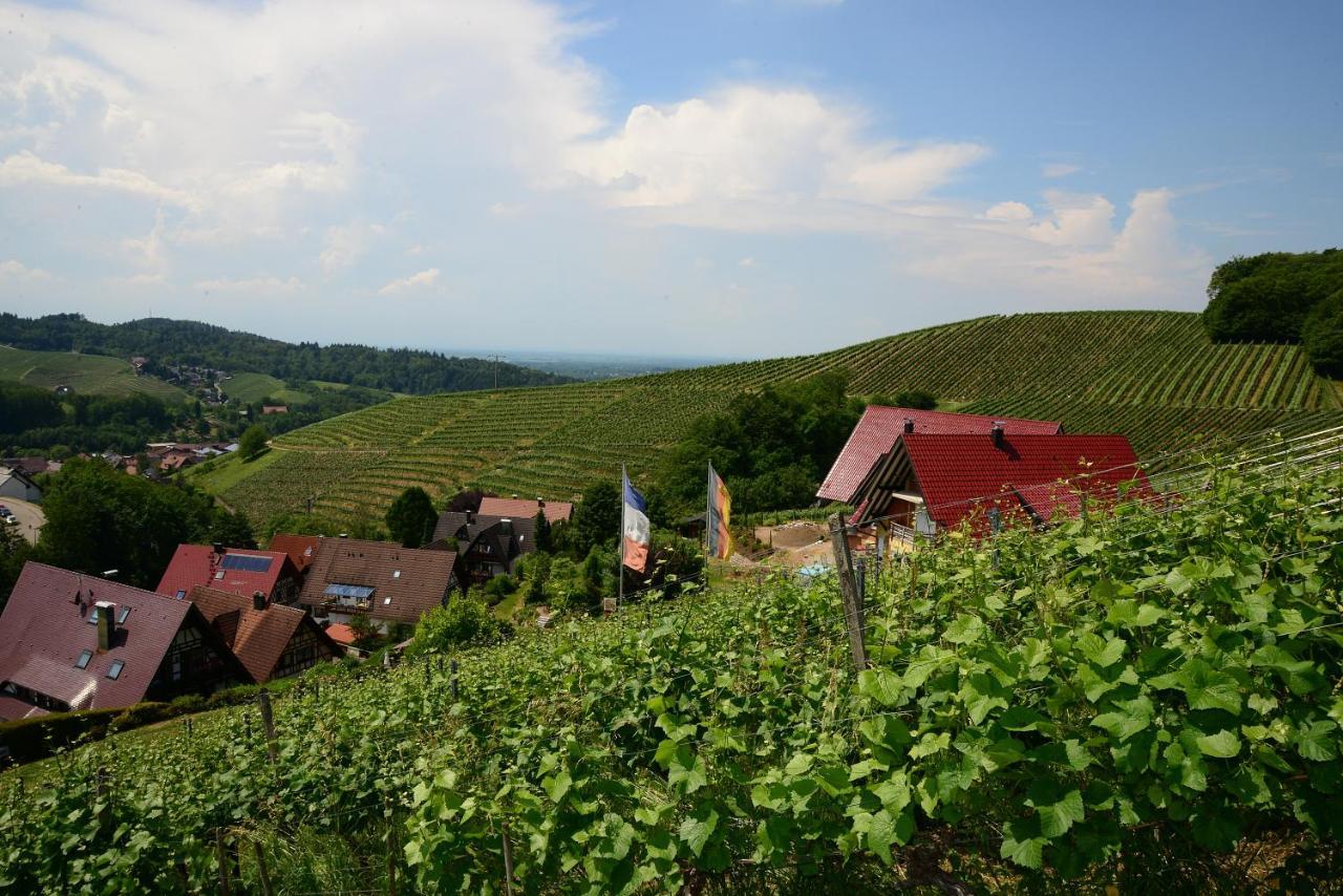 Residence Am Weinberg / Travellers Hotelbetriebs Gmbh Sasbachwalden Buitenkant foto